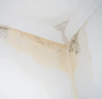 Rénovation après sinistre