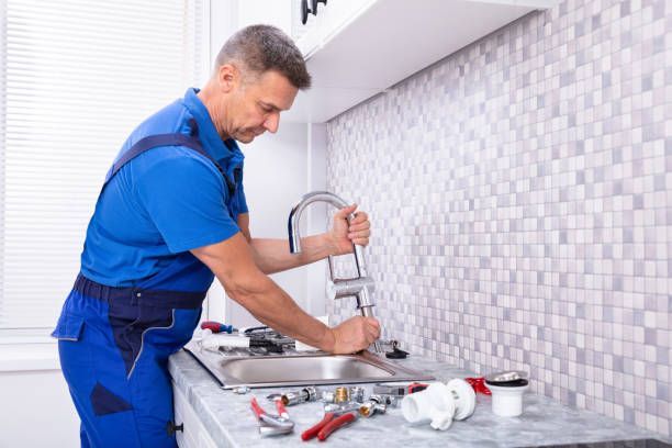 Installations Sanitaires en Terre Vaudoise